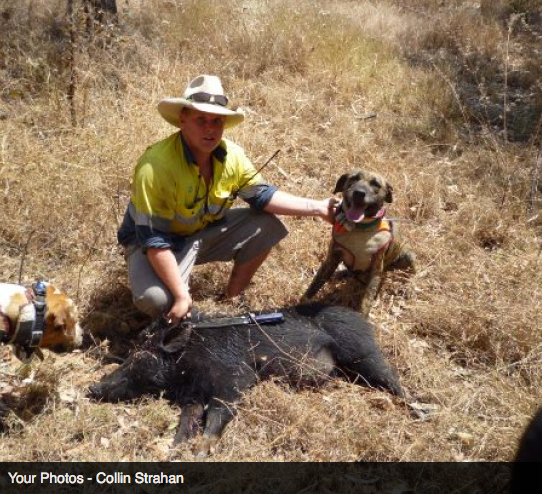 Screen Shot 2013-10-02 at 1.36.21 PM